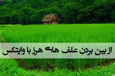 از بین بردن علف های هرز با وایتکس