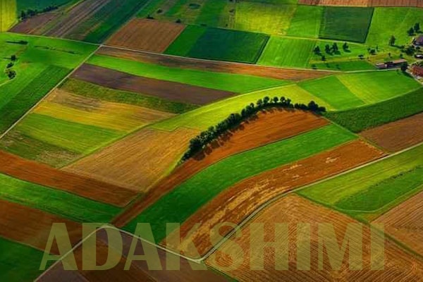 اسید فسفریک در کشاورزی