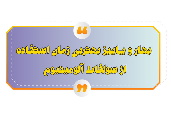 بهترین زمان استفاده