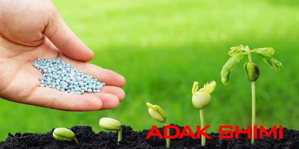 تولید کود کشاورزی با اسید سولفوریک