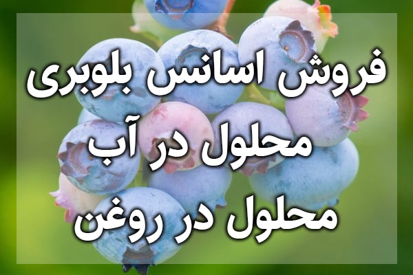اسانس میوه,خرید اسانس بلوبری,فروش اسانس بلوبری