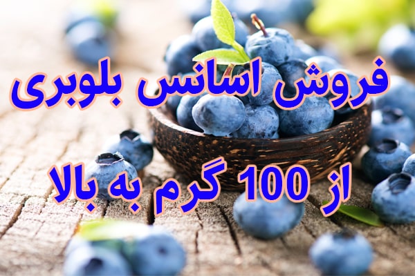 فروش اسانس بلوبری,اسانس بلوبری,خرید بلوبری