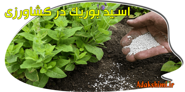 اسید بوریک در کشاورزی 