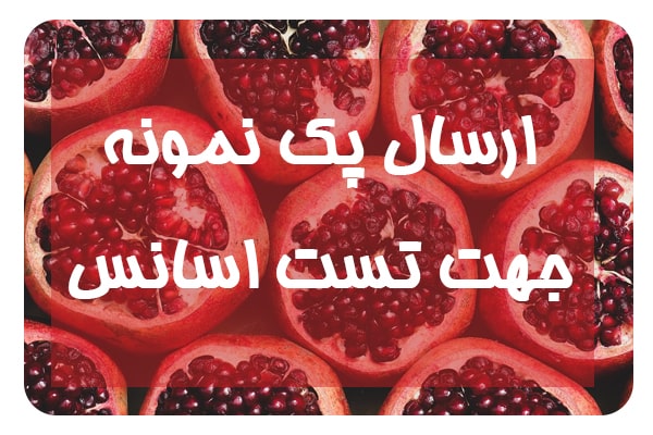 اسانس انار,خرید اسانس انار,اسانس انار محلول